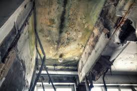 Best HVAC Mold Inspection and Cleaning  in Selden, NY